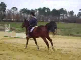 Ouragan et moi