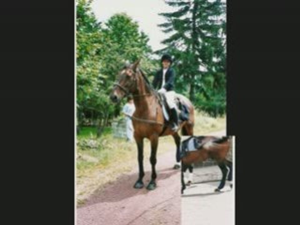 a ulysse