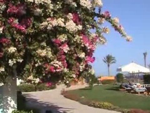 SHARM EL SHEIKH 2008