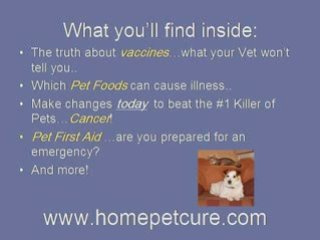 Pet Medications Online for Dogs & Cats