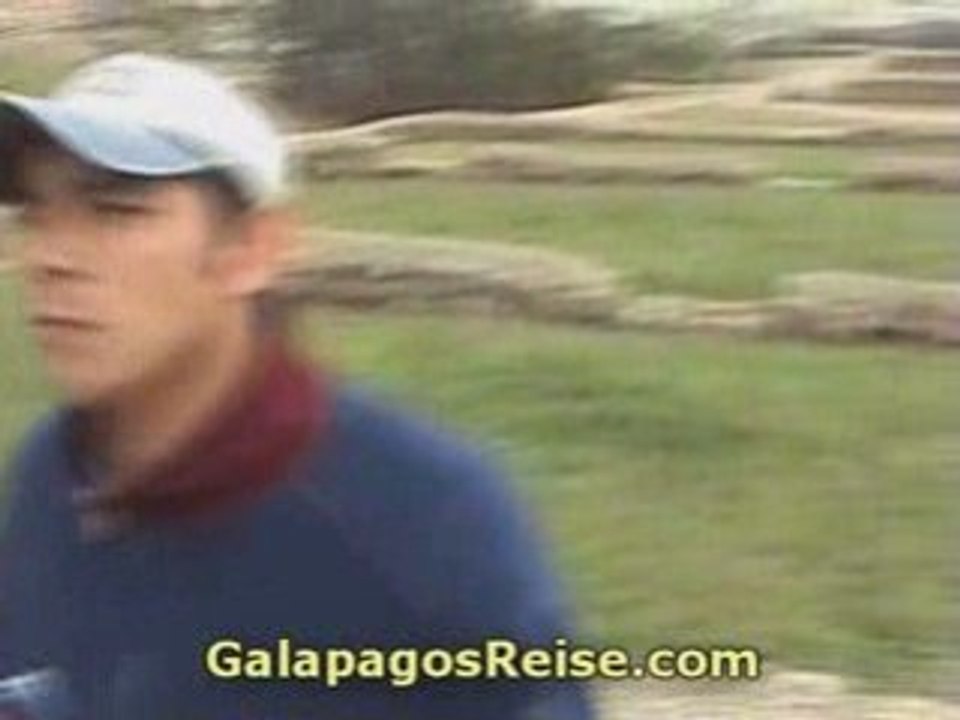 Ingarica Inca Runes - Video blog 4