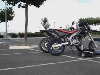 Stunt drz