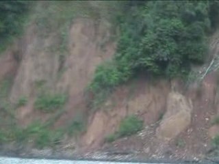Les oiseaux lèchent les rochers