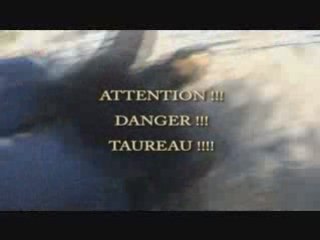 Intro site : attention !!! danger !!! taureaux !!!!