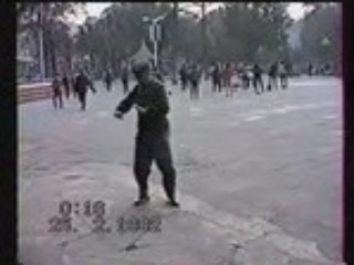 tai chi chuan style CHEN
