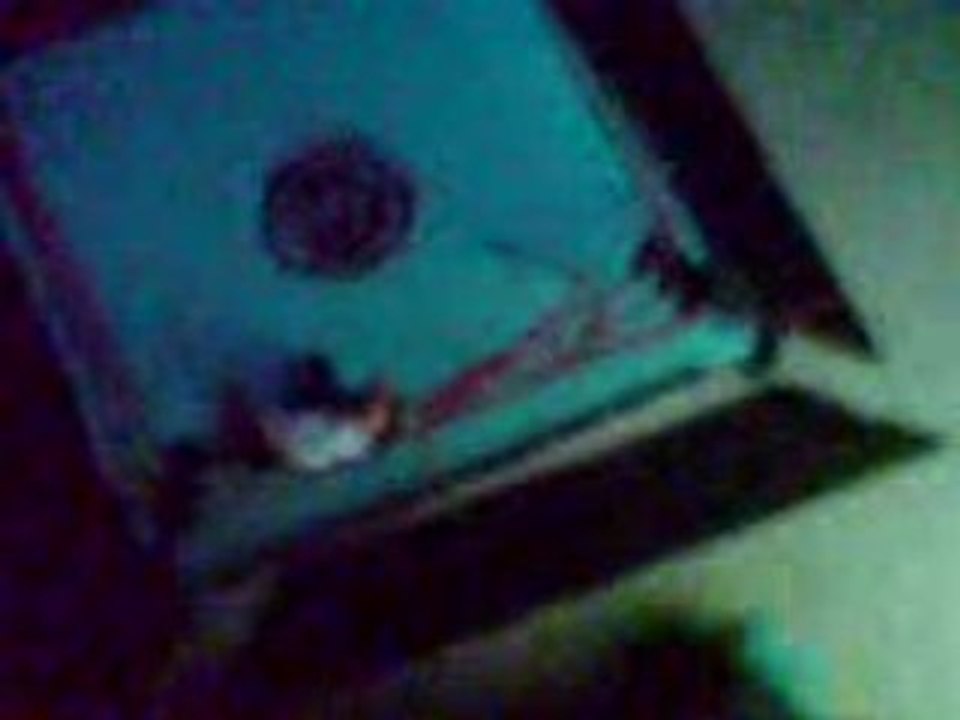 survivor series (2) part 4