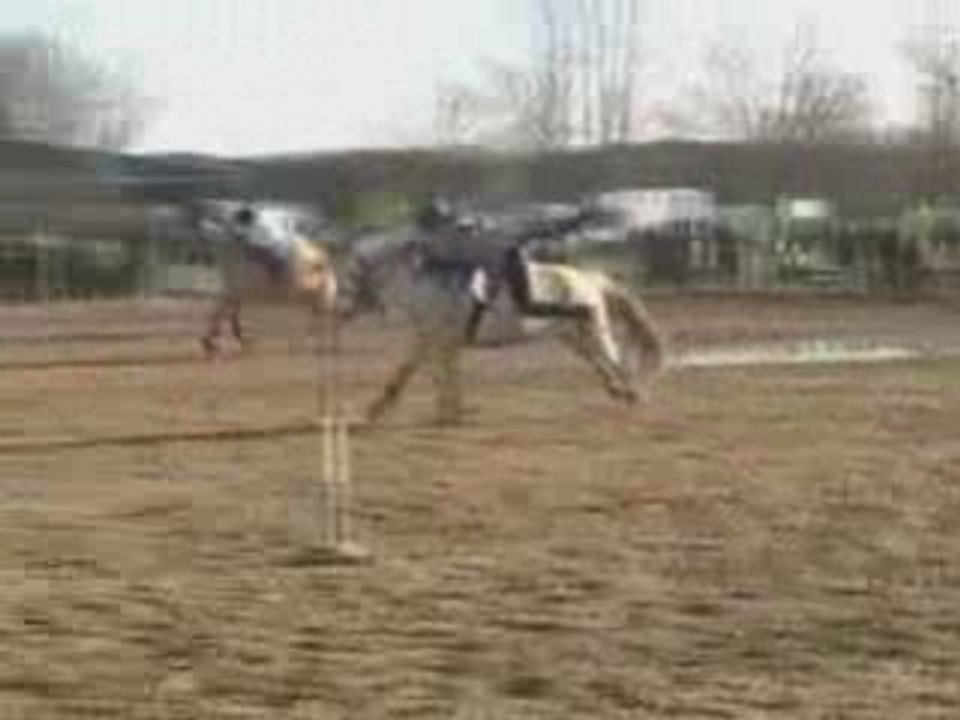 Vendéezilles - Allonnes - 7 décembre 2008