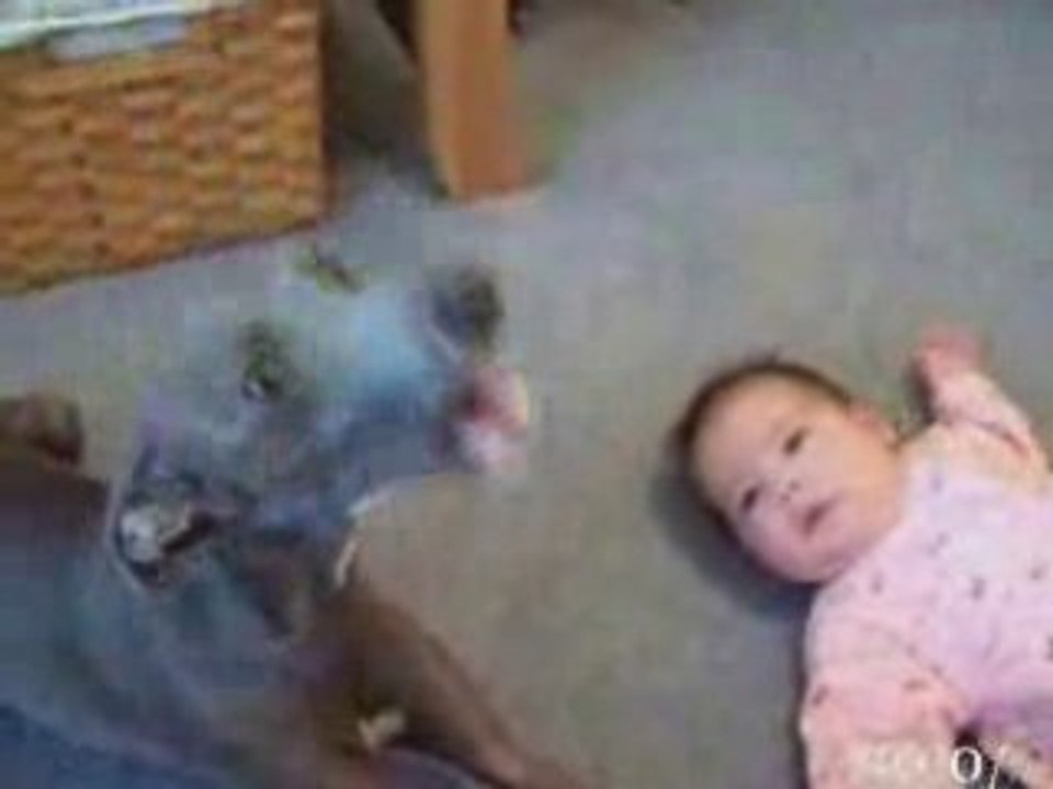 Sacré duo entre toutou et bébé