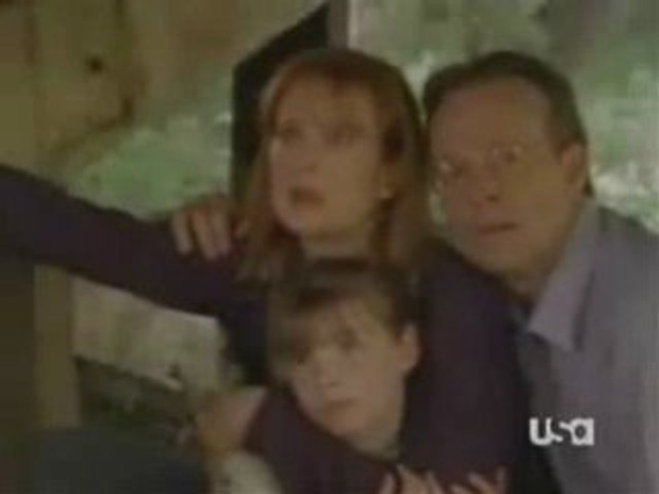 Parodie Chuck Norris