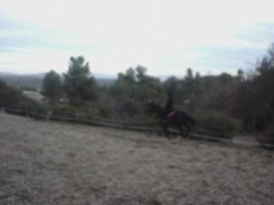 Un peut de dressage