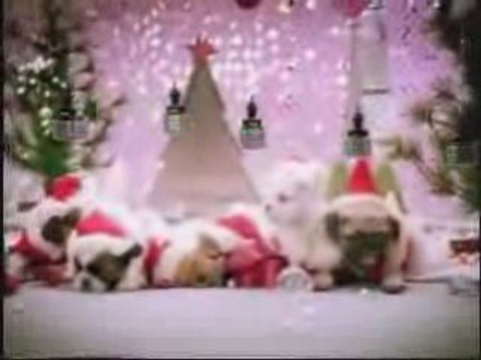 Dogs singing christmas song