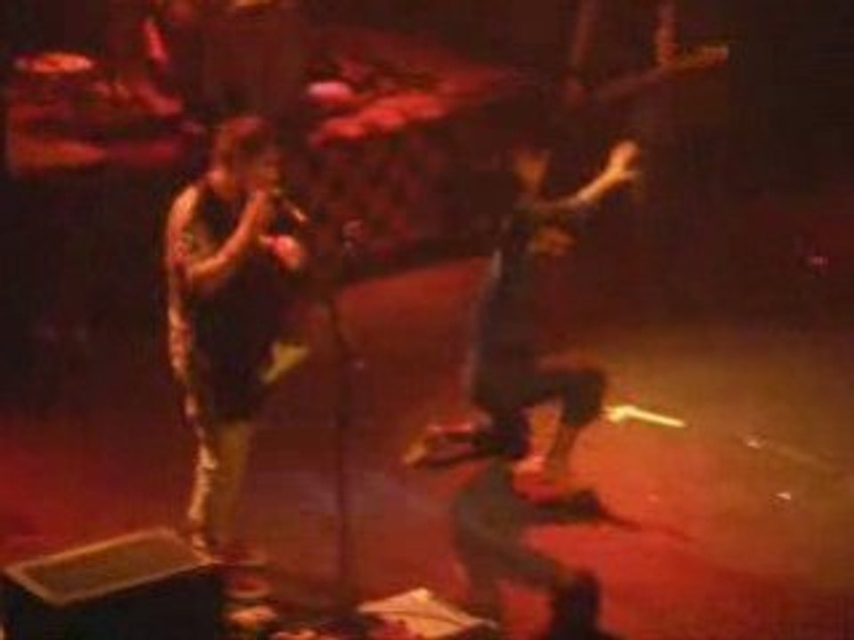 Killerpilze 20 decembre 2008