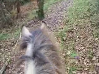 Balade avec Odyssée