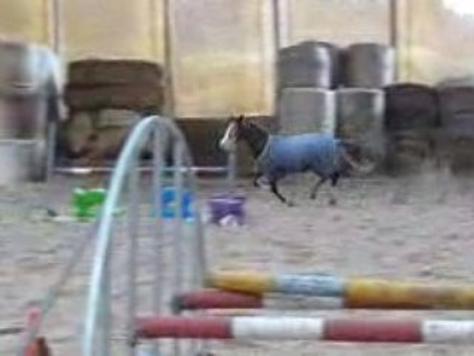 Rumba