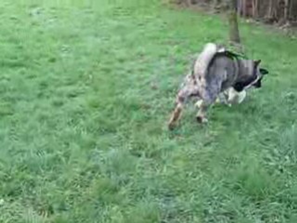 Tahoe et Shina Jeux 3