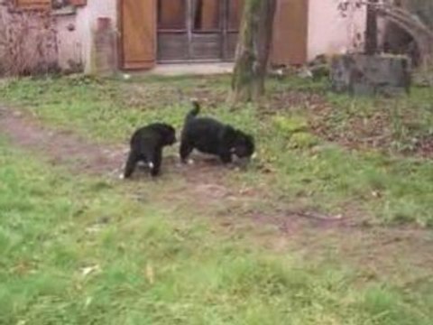 1ère sortie dans le jardin...