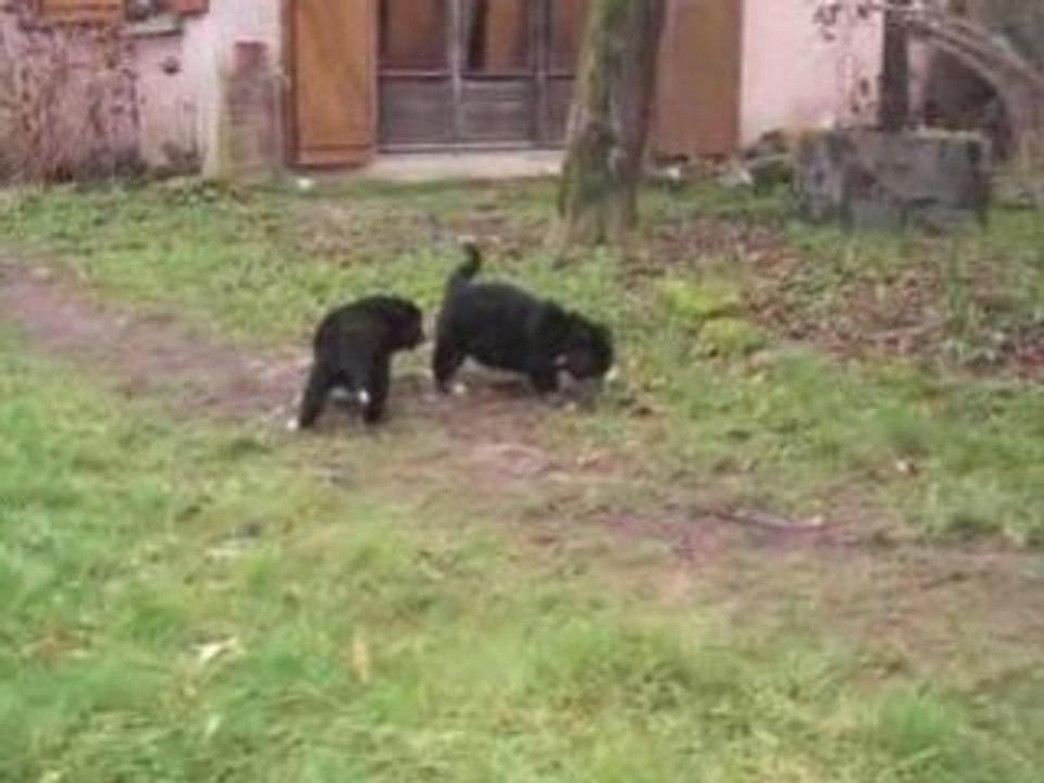 1ère sortie dans le jardin...