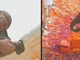 Orange Hermès et rose indien 2008