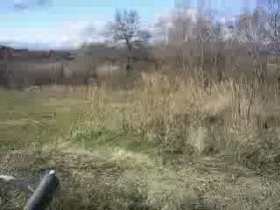 laurent saut 250 rmz-e