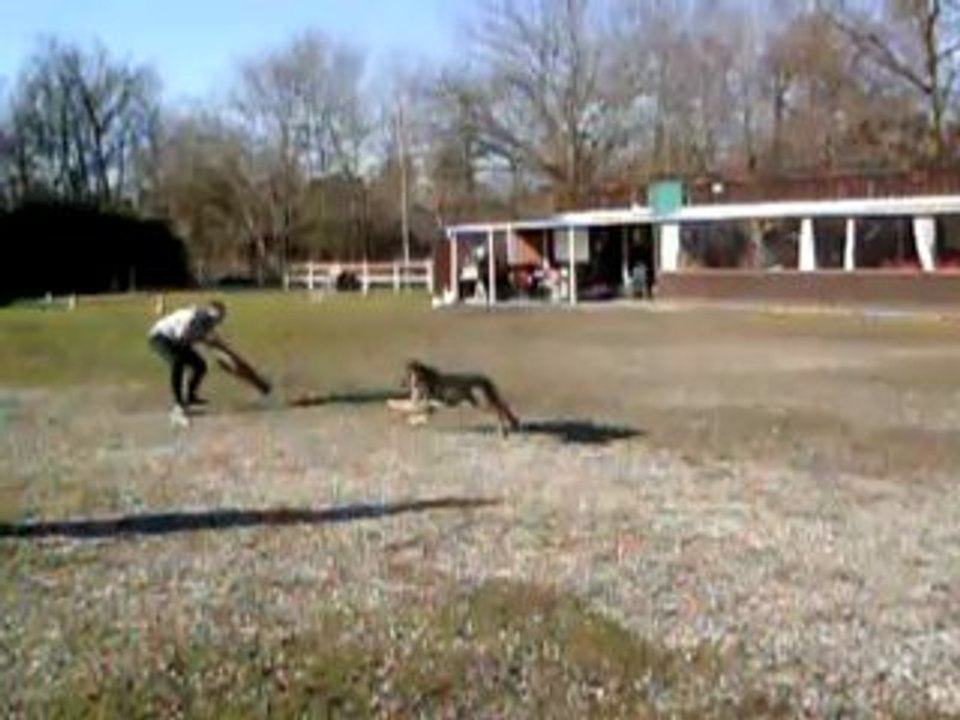 DELTA DES SENTINELLES D'EDEN