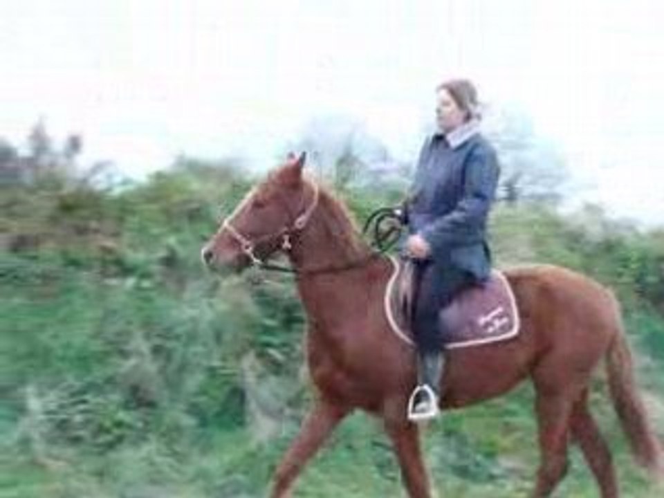 1er trot