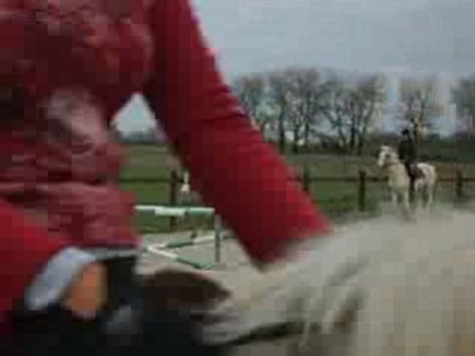 passage des barres au galop