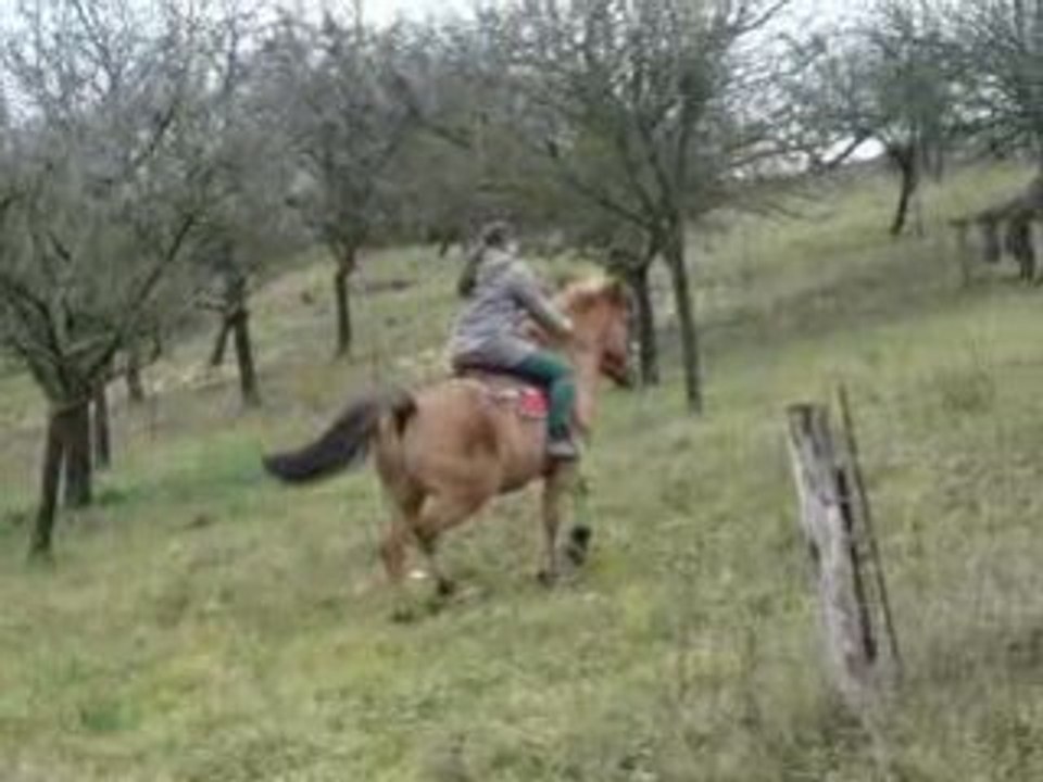 nopal au galop sur la cote