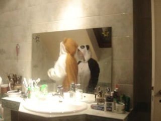 Tell me - Wonder Hamster & Panda