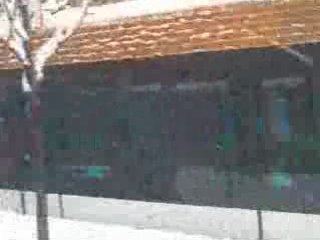 Aristote sous la neige2