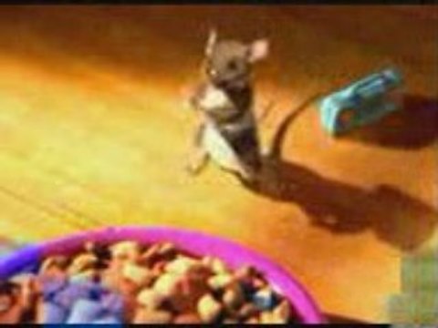 Chat et Souris danse