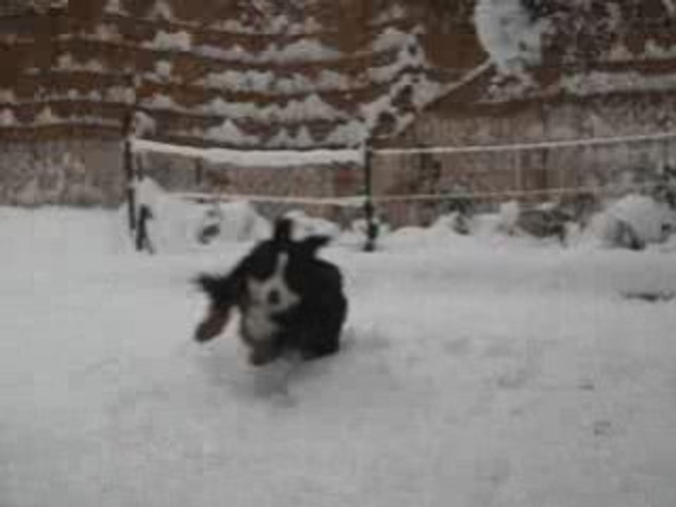aika angie neige 7 janv 09