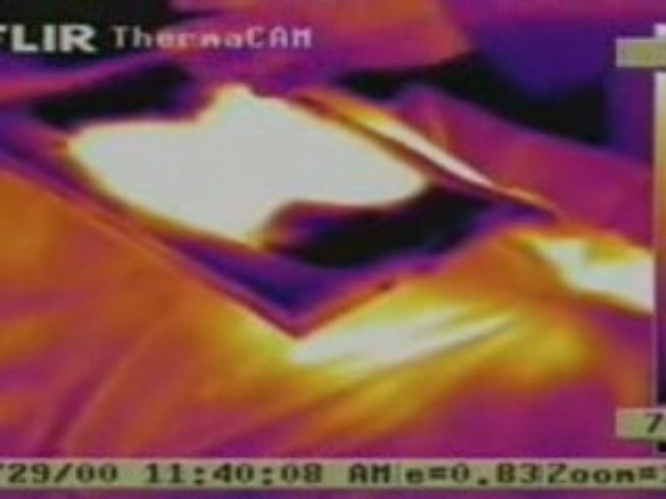 Maitre Zhou - Chi Qong