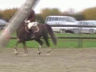 Pidji detente monthomet 1