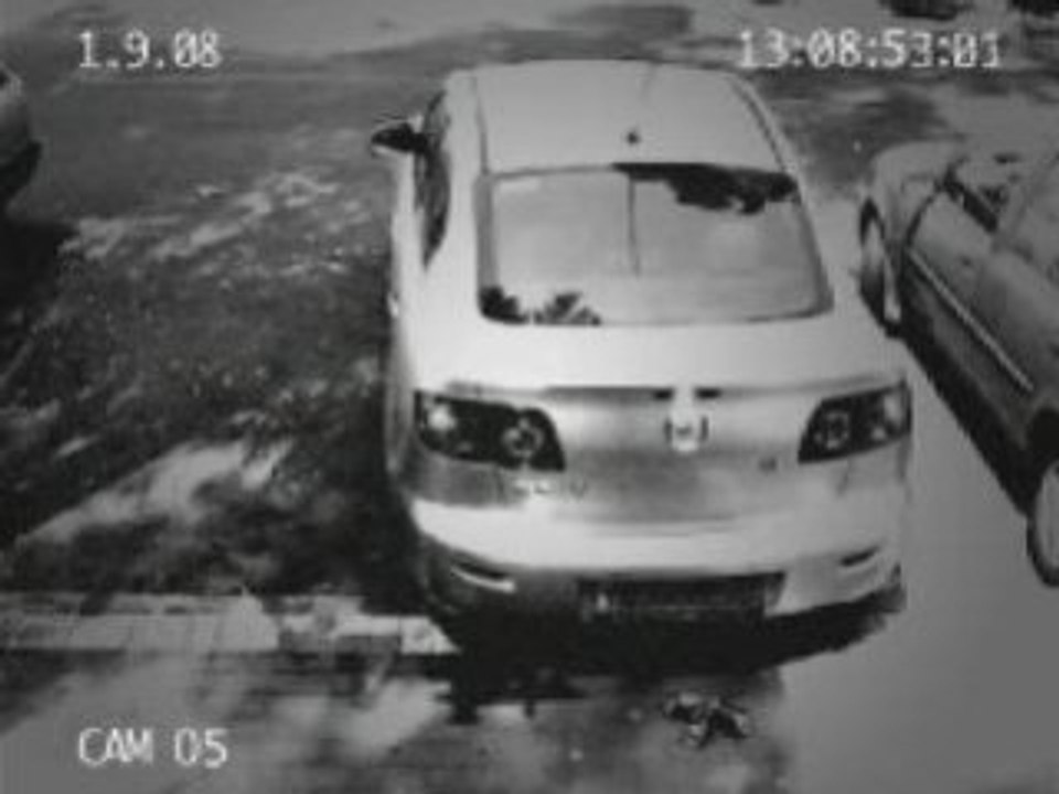 [STUPID] Voleur de Voiture ATTENTION Car Jacking [Goodspee