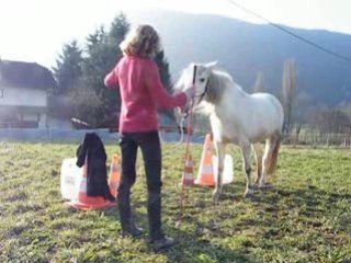 Scéance à pieds