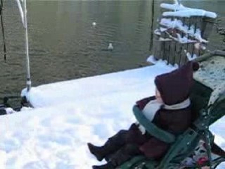 CANARDS 1 POUR SIBYLLE - DEBUT JANVIER 2009