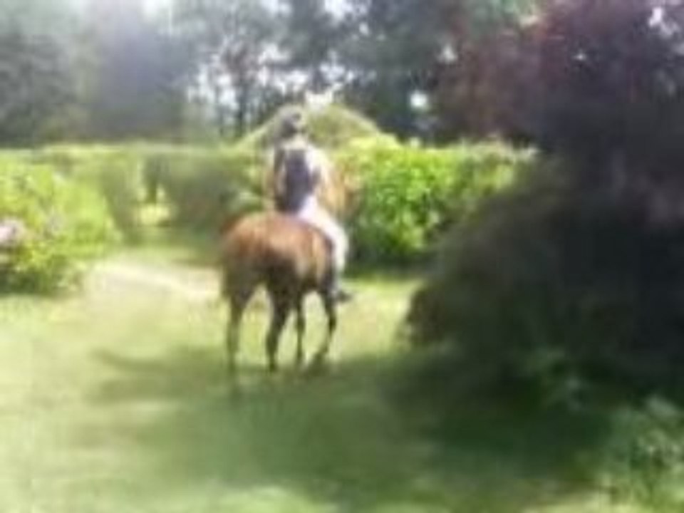 Vodka pas espagnol monté