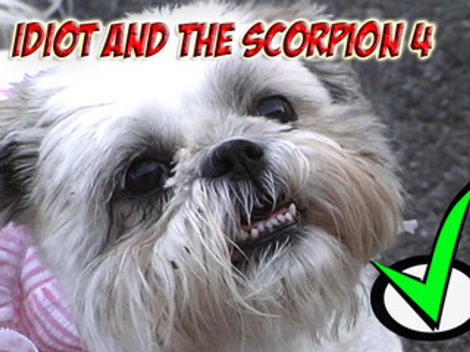 THIS DOG WILL DIE!!!!