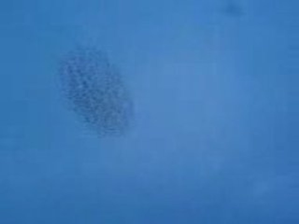 MOV00003