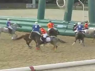 Horse Ball- World Cup: France Espagne