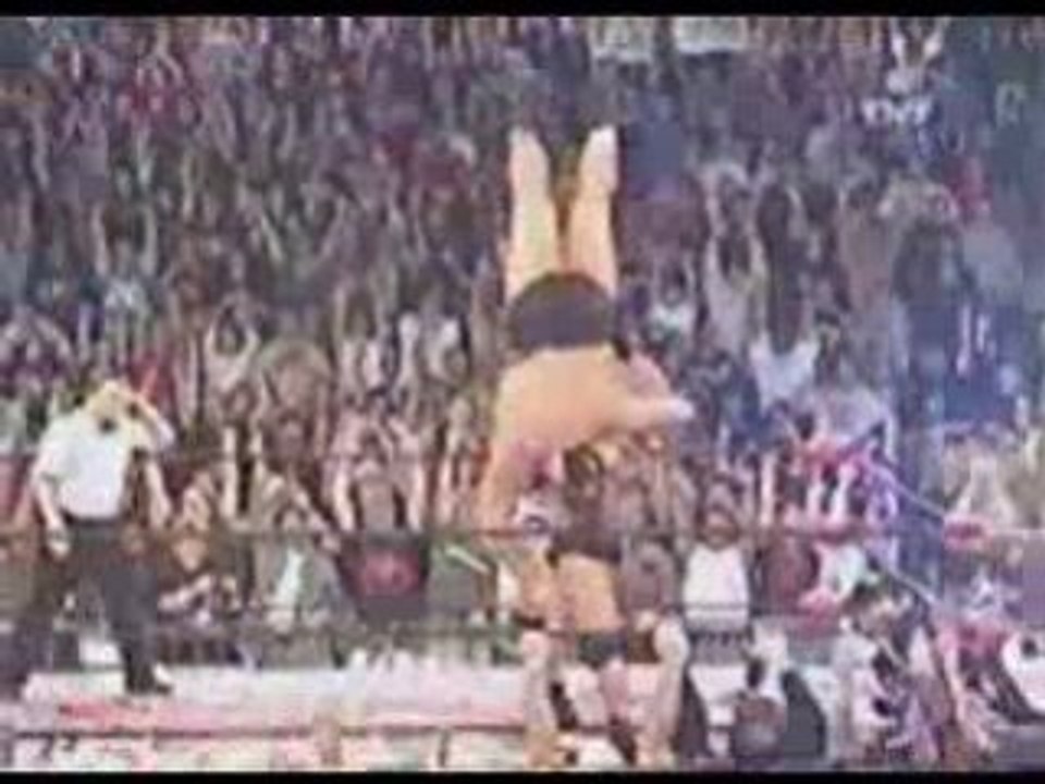 wwe finishers