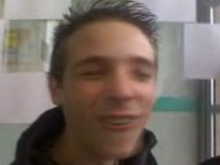 alfred, fifou, julien et plante verte dans l'aquarium a JDA