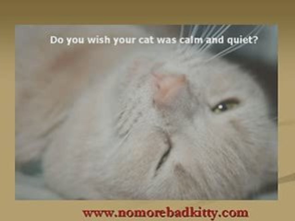 774_0_Badkitty