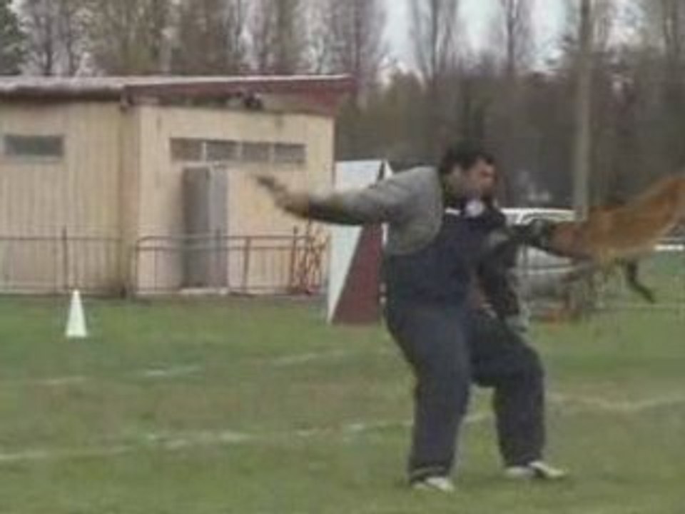 Entrées de gardes au ferme
