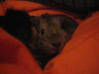 Ma ptite Nutella chérie :D