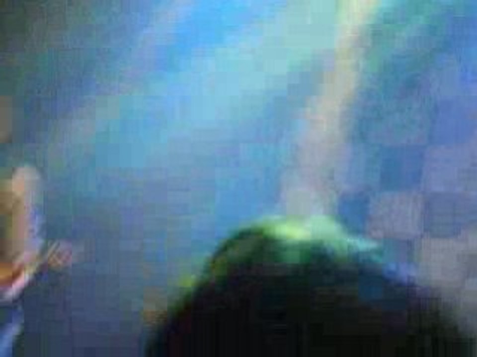 Killerpilze au Bataclan le 20 Decembre