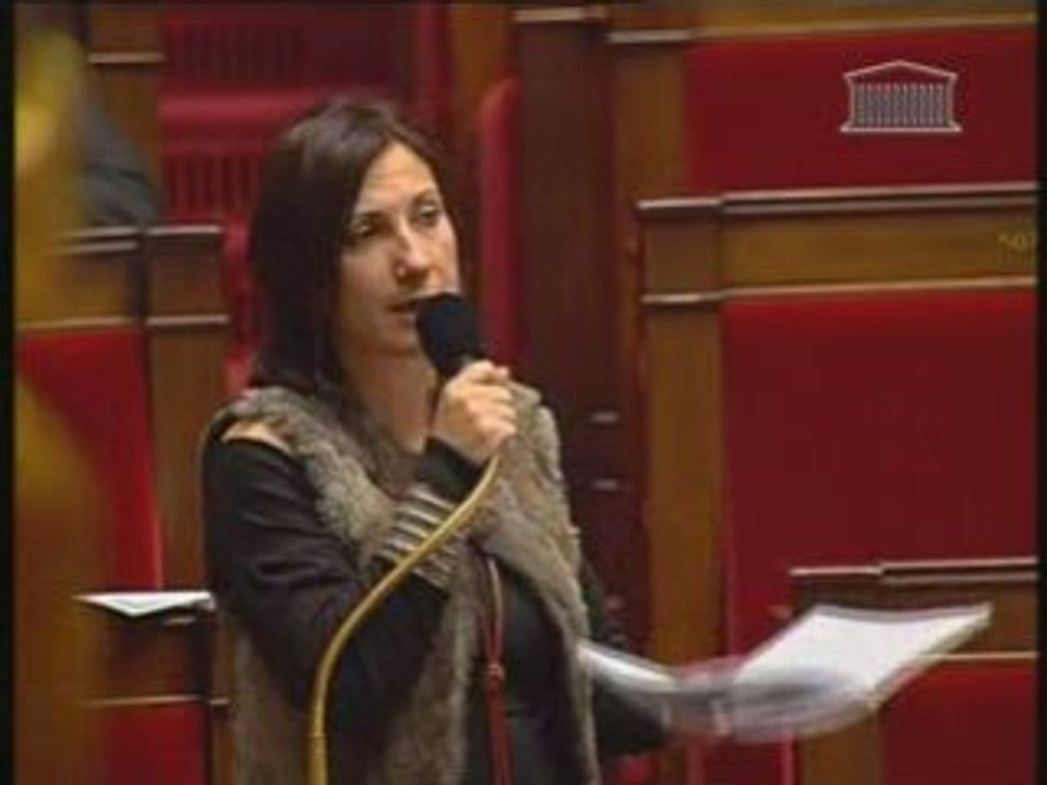 Intervention : Projet de loi sur l'audiovisuel 01/12/08 (9)