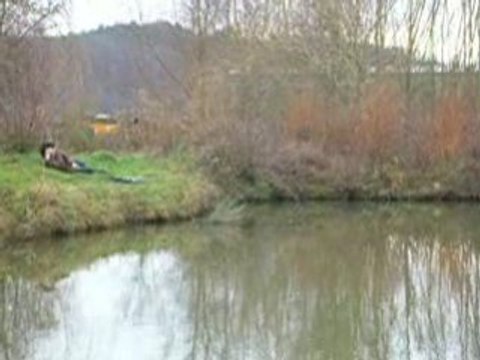 Peche de la carpe en surface au pain en hiver