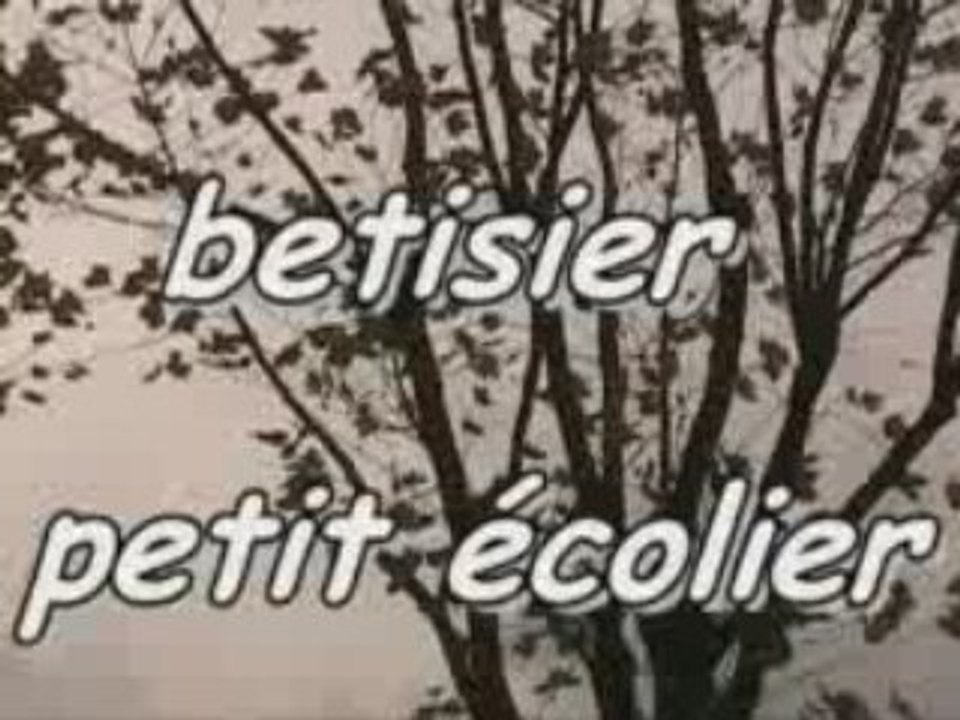 Betisier petit écolier