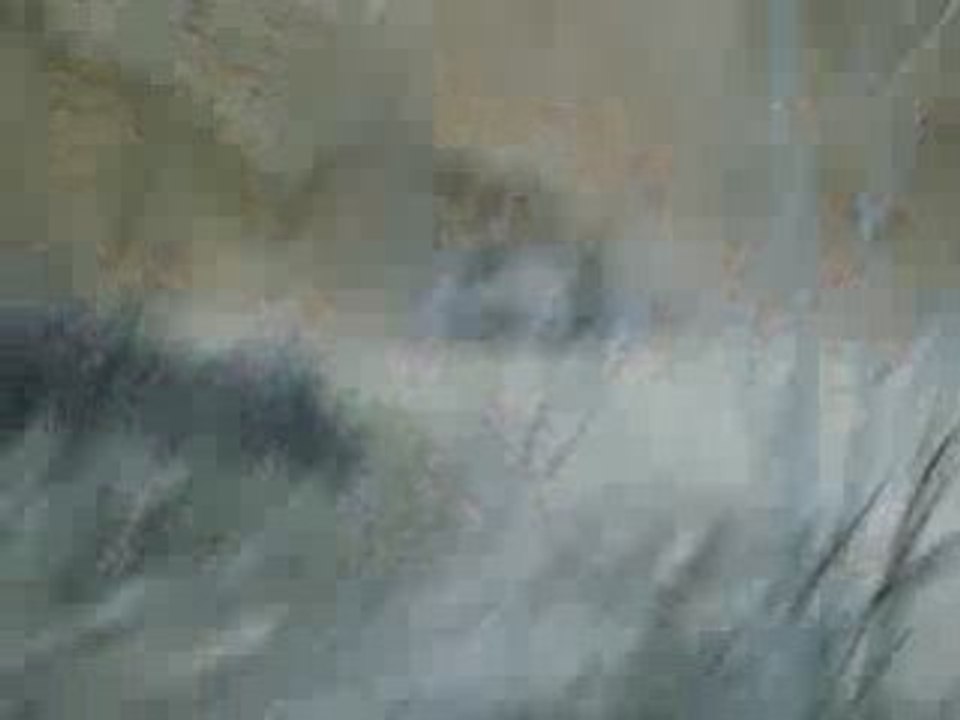 IMGP0363
